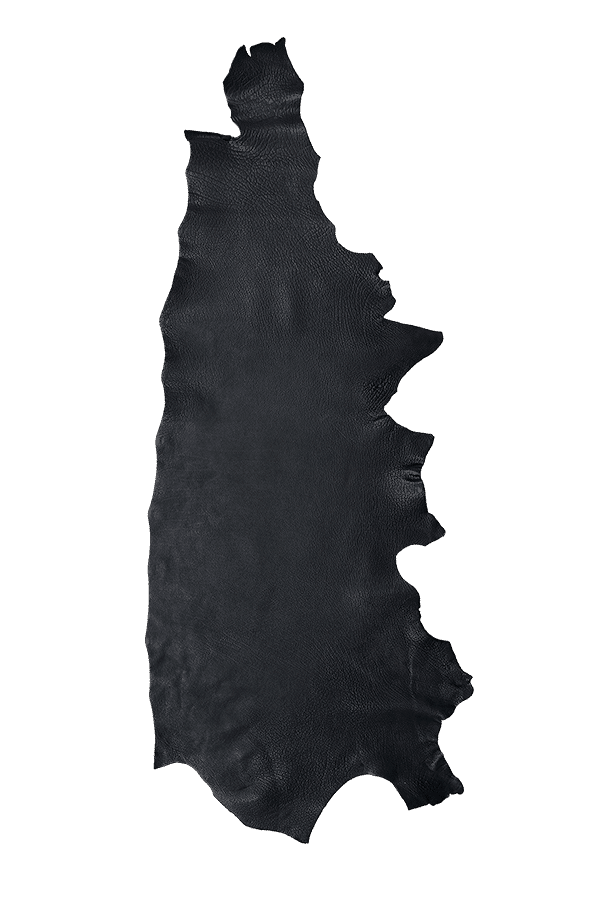 American Bison Black Hide