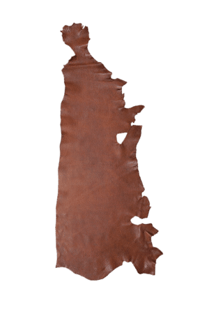 American Bison Peanut Hide