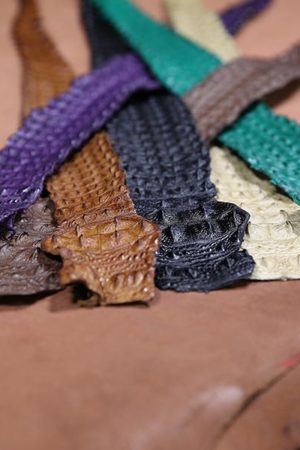 Nile Crocodile Backstrap