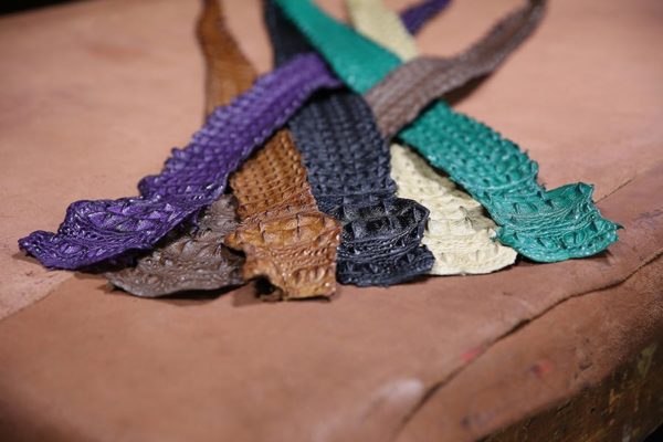 Nile Crocodile Backstrap