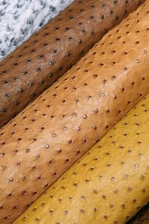 Ostrich Hide