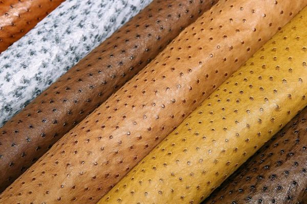 Ostrich Hide